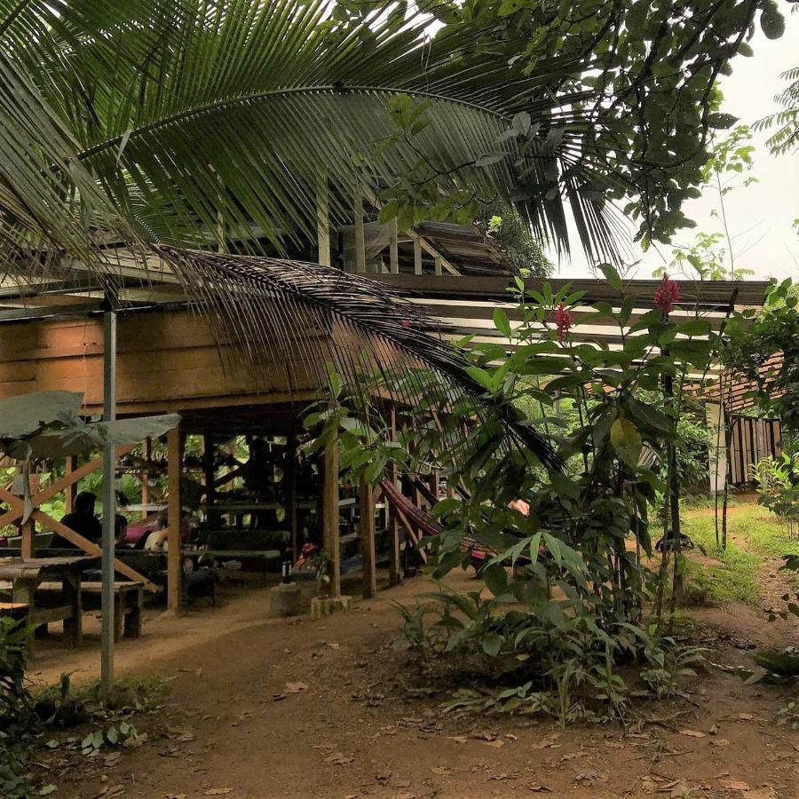 Bolita Trails And Lodging Dos Brazos Eksteriør bilde