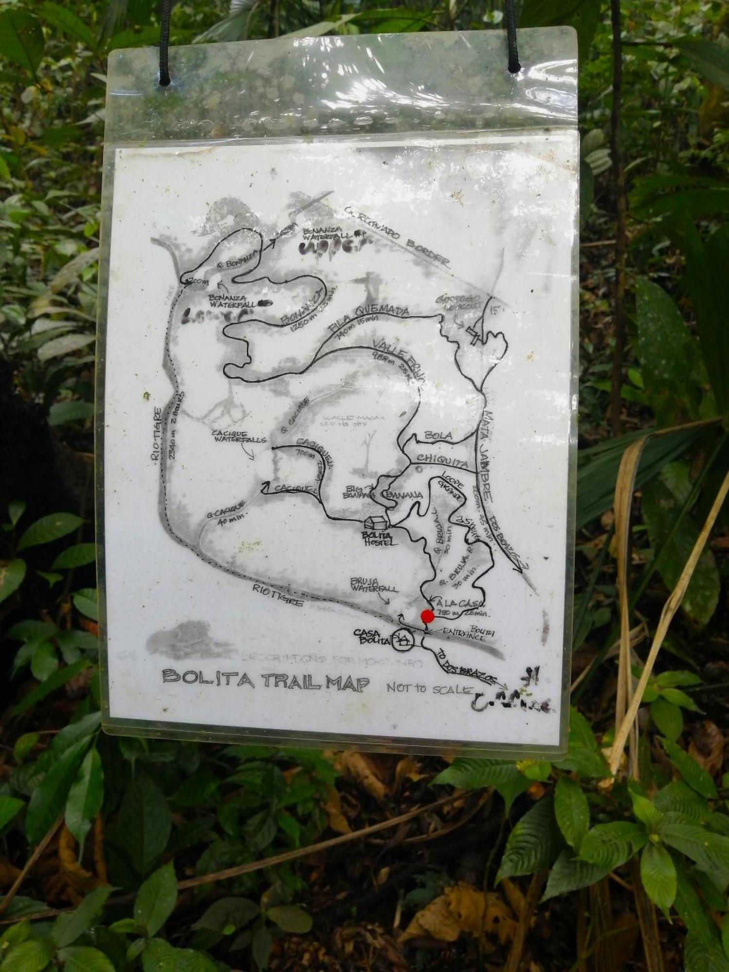 Bolita Trails And Lodging Dos Brazos Eksteriør bilde